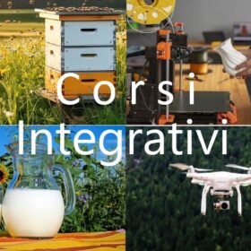 immagine che indica tutti i percorsi alternativi attivati nel nostro istituto