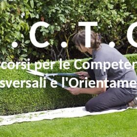 Percorsi per le Competenze Trasversali e per l’Orientamento